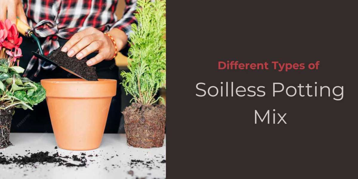 Exploring Different Types of Soilless Potting Mix for Various Plants