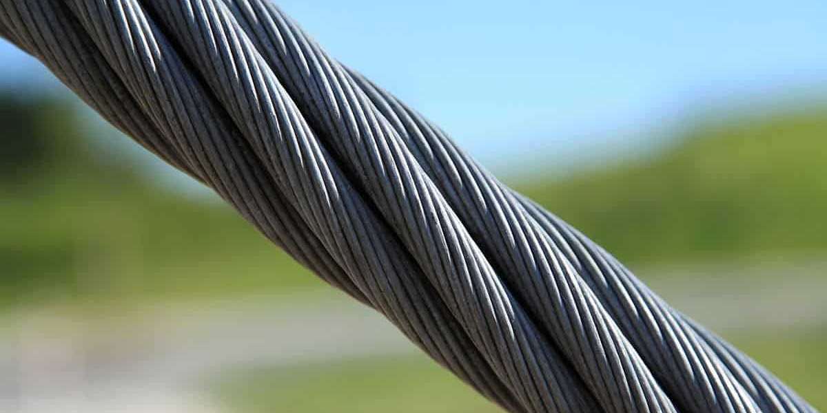 Steel Wire Market Trends, Demand and Forecast till 2031