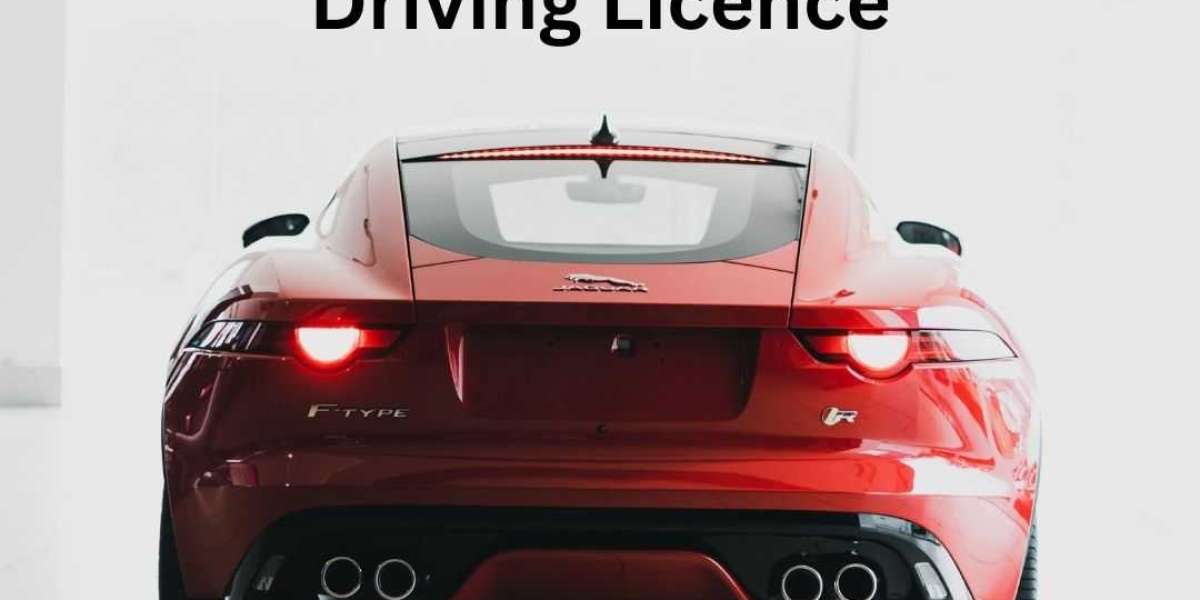 The Difference Between a Learner’s Permit and a Full Driving Licence