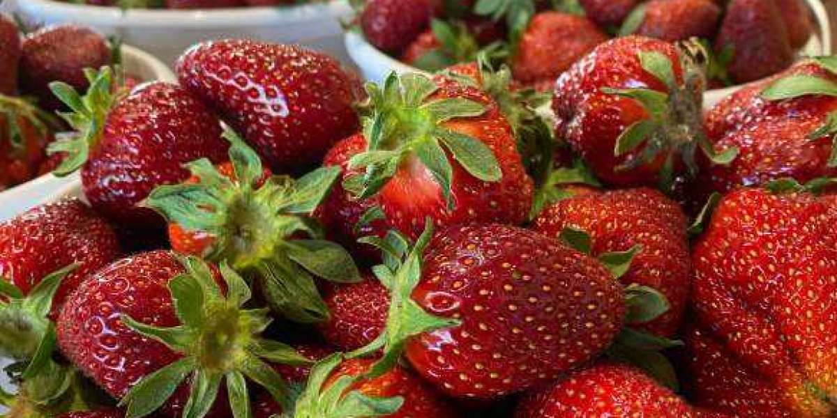 Berry Delicious Fun in Alabama: Unveiling Nature’s Sweet Bounty