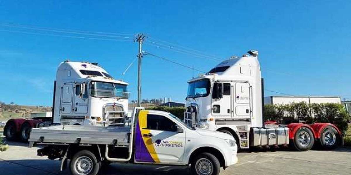 Delivering Excellence Through Shipping to Tasmania