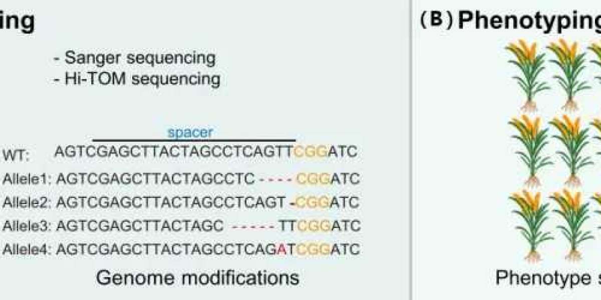 Workflow of CRISPR Screening Technology