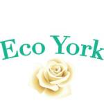 Eco York