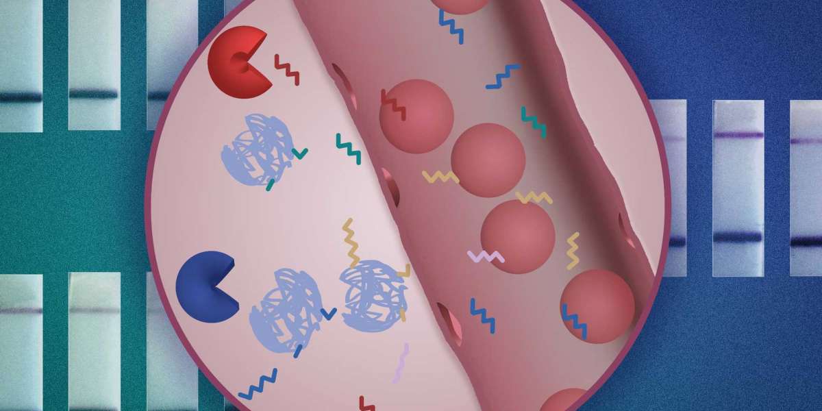 Cancer Diagnostics Market to Reach USD 204.55 Billion by 2031, Growing at 6.89% CAGR | SkyQuest Technology