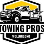 Wollongong Pros Profile Picture