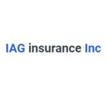 IAG Holdings Inc