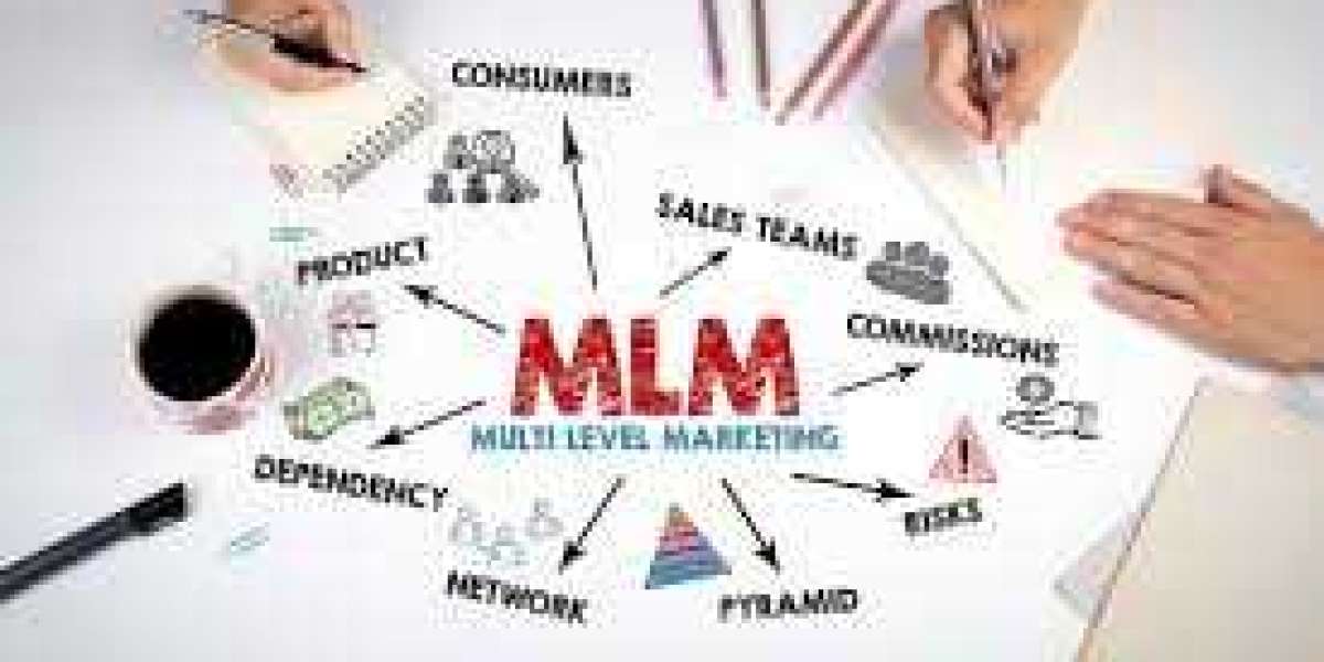 Best MLM Software in india at Focus MLM Software in 2024