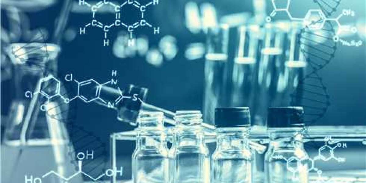 Hybridization Capture and PCR Amplification: Comparing Two Key Enrichment Strategies in NGS