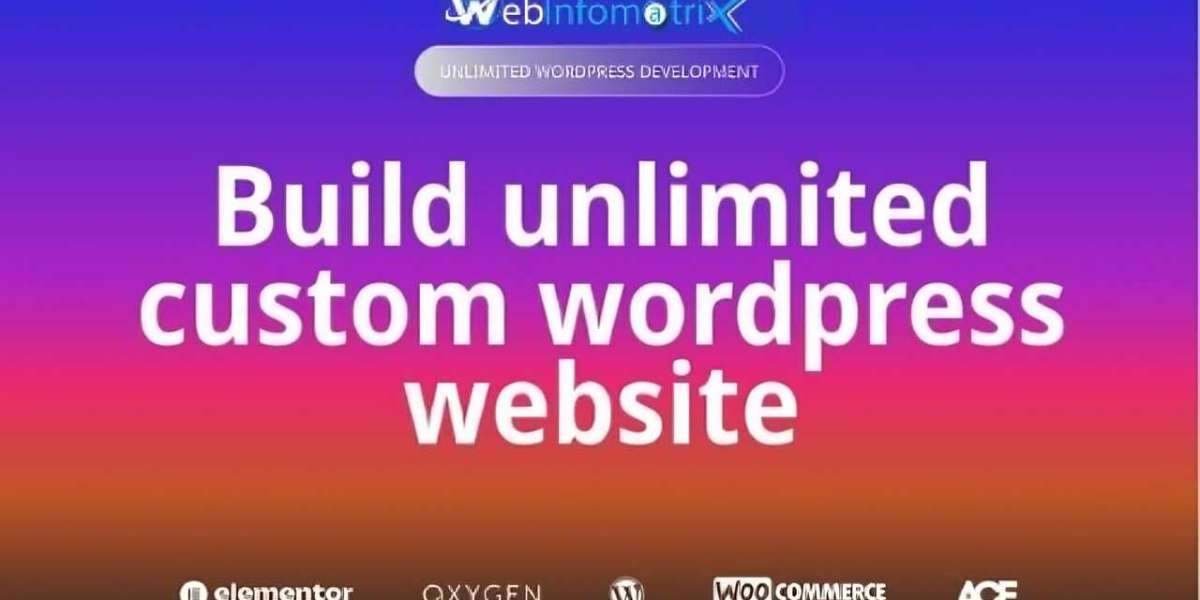 Webinfomatrix: Crafting Unique WordPress Experiences