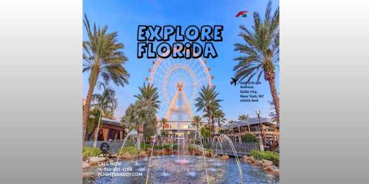 Who Can Benefit from Florida Travel Deals - FlightsDaddy