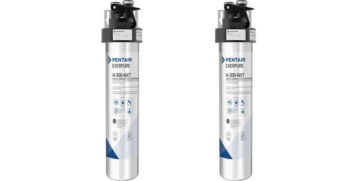 Everpure Water Filtration Systems: A Reliable Solution for Forever Chemicals