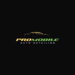 Pro Mobile Auto Detailing Profile Picture