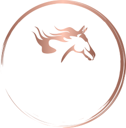 Dumpsters - AZ Waste Wagon LLC