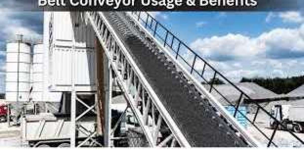 Belt Conveyor Manufacturers in Ahmedabad: A Comprehensive Guide