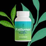 FatBurner Elite Official