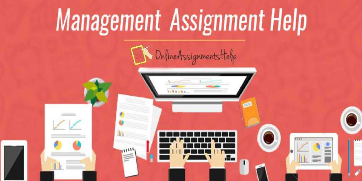 Ultimate Guide to Management Assignment Help: Your Pathway to Academic Success