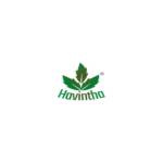 Havintha Official Profile Picture