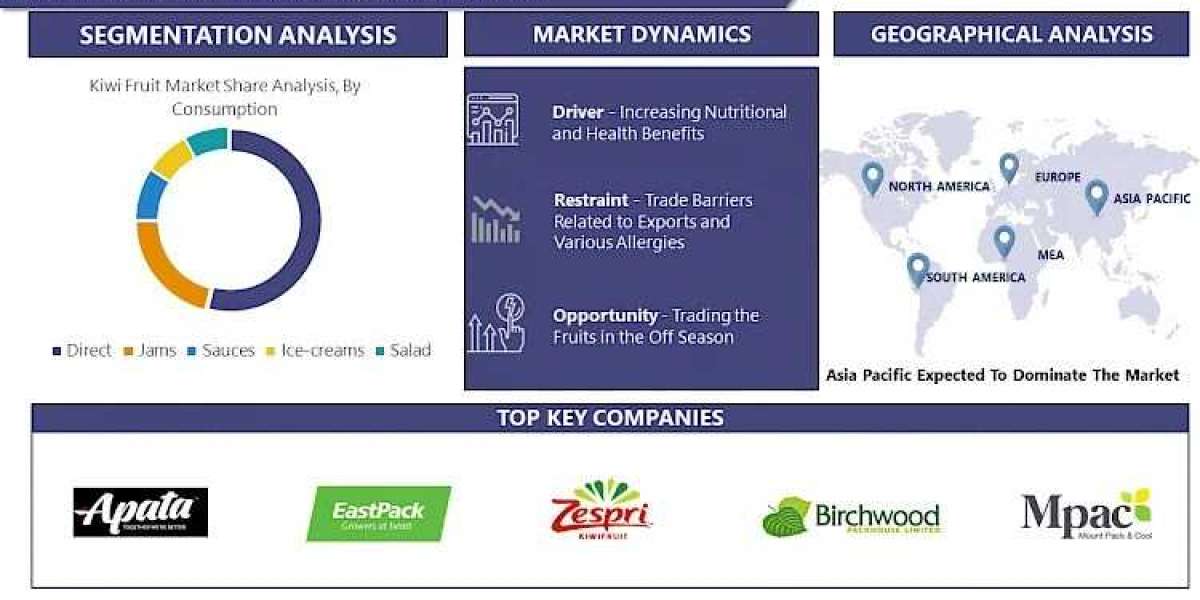 Kiwi Fruit Market Size, Share - Industry Analysis Report, 2032