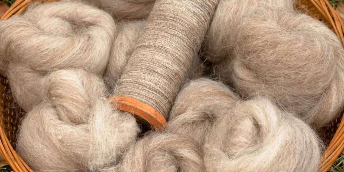 Australia’s Wool Industry: Key Players and Future Prospects