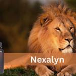 Nexalyn Male Enhancement