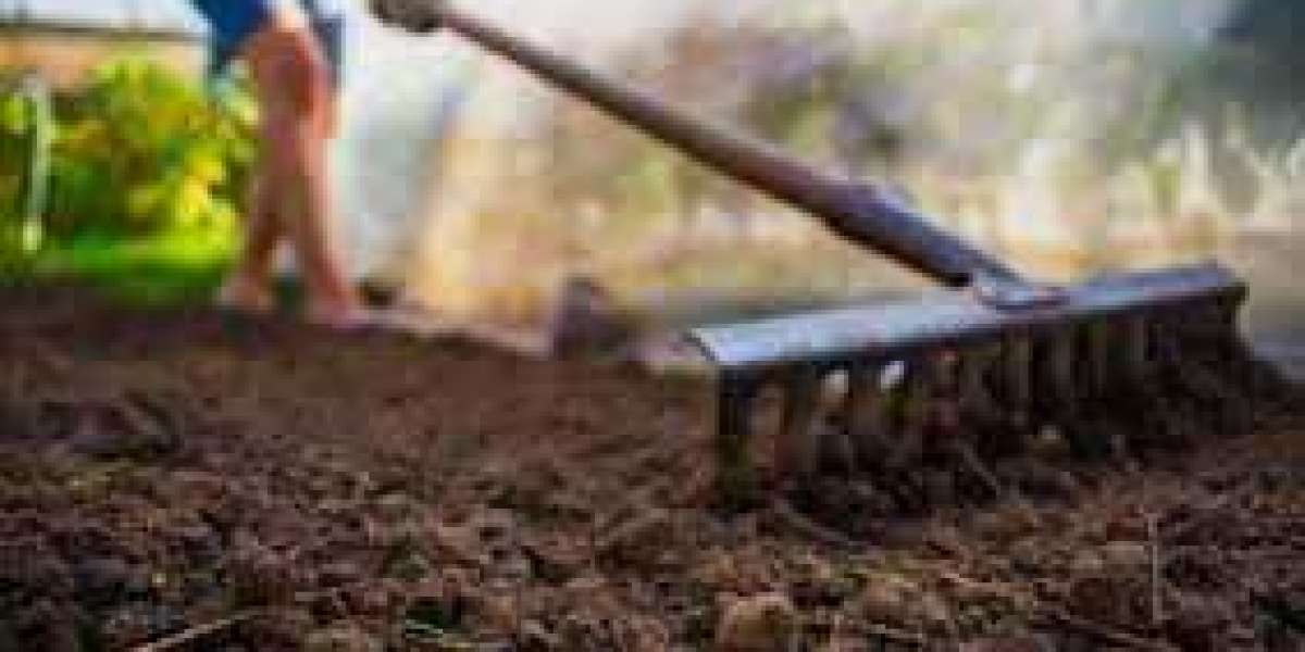 What Are the Benefits of Healthy Soil Compost for Your Garden?