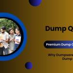 DumpQuestions