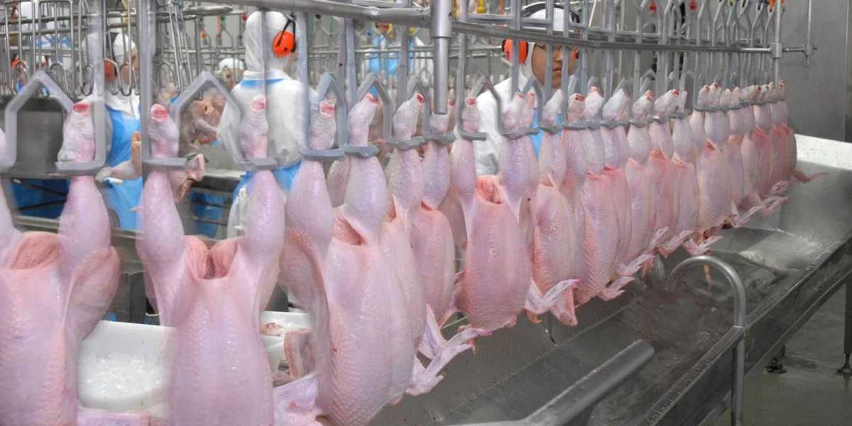 Quality Chicken Exporter Vietnam Gaining Popularity