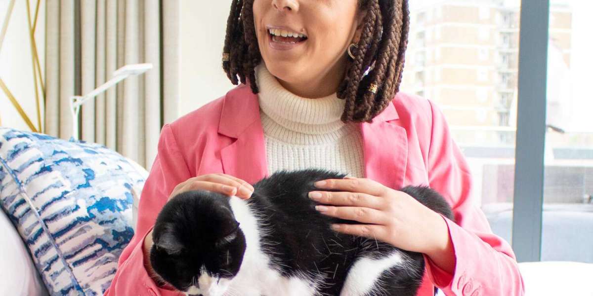 Providing Purr-fect Comfort: Unveiling London's Best Cat Sitters for a Blissful Feline Retreat