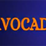 Avocadeal Pet Accessories