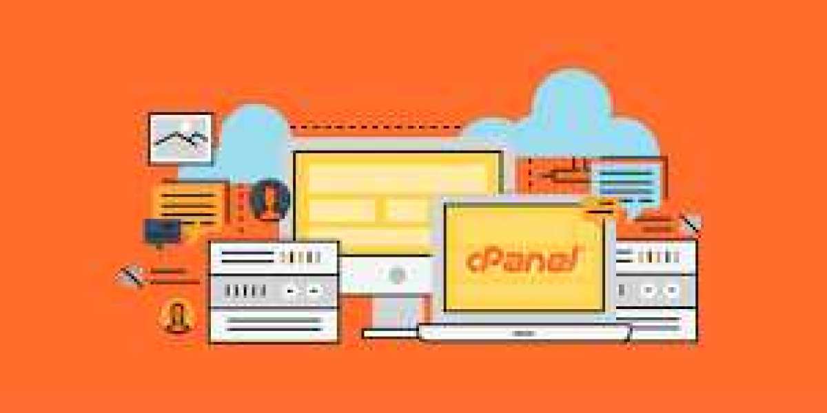 A Comprehensive Guide to cPanel Website Backups