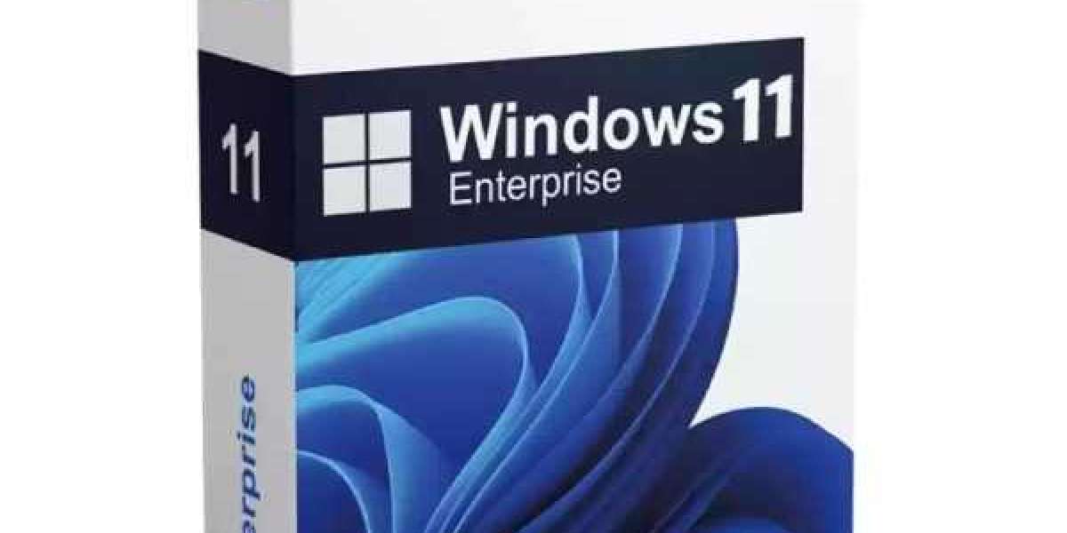 Windows 11 Enterprise Price in India: A Complete Guide