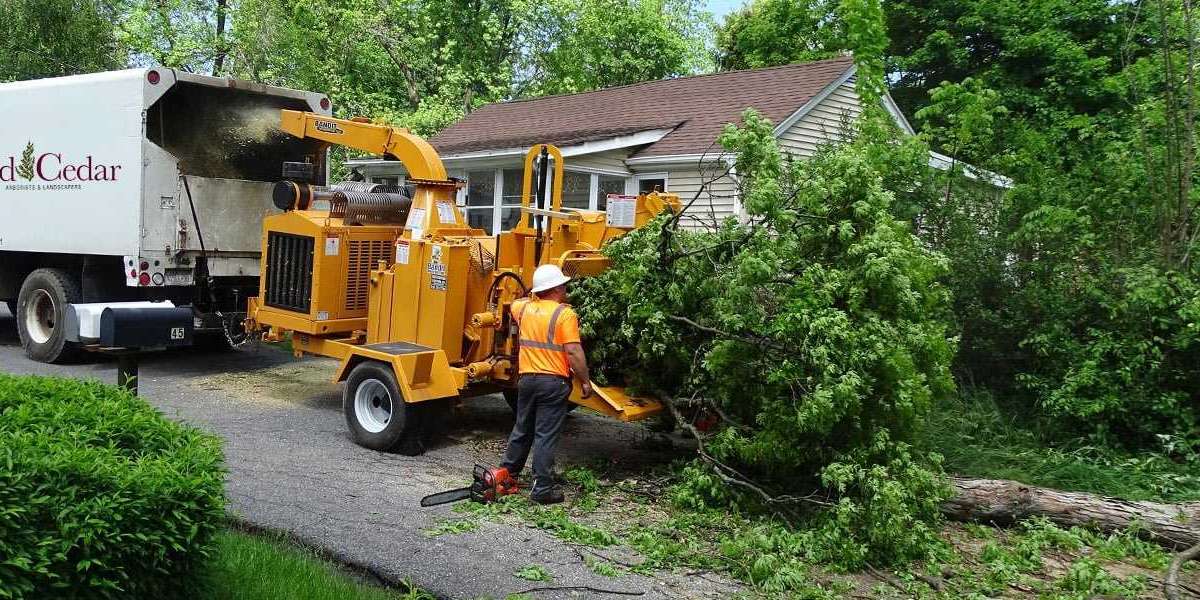 Why Fort Collins Tree Service is Essential for a Healthy Landscape