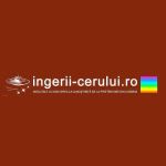 ingerii cerului Profile Picture