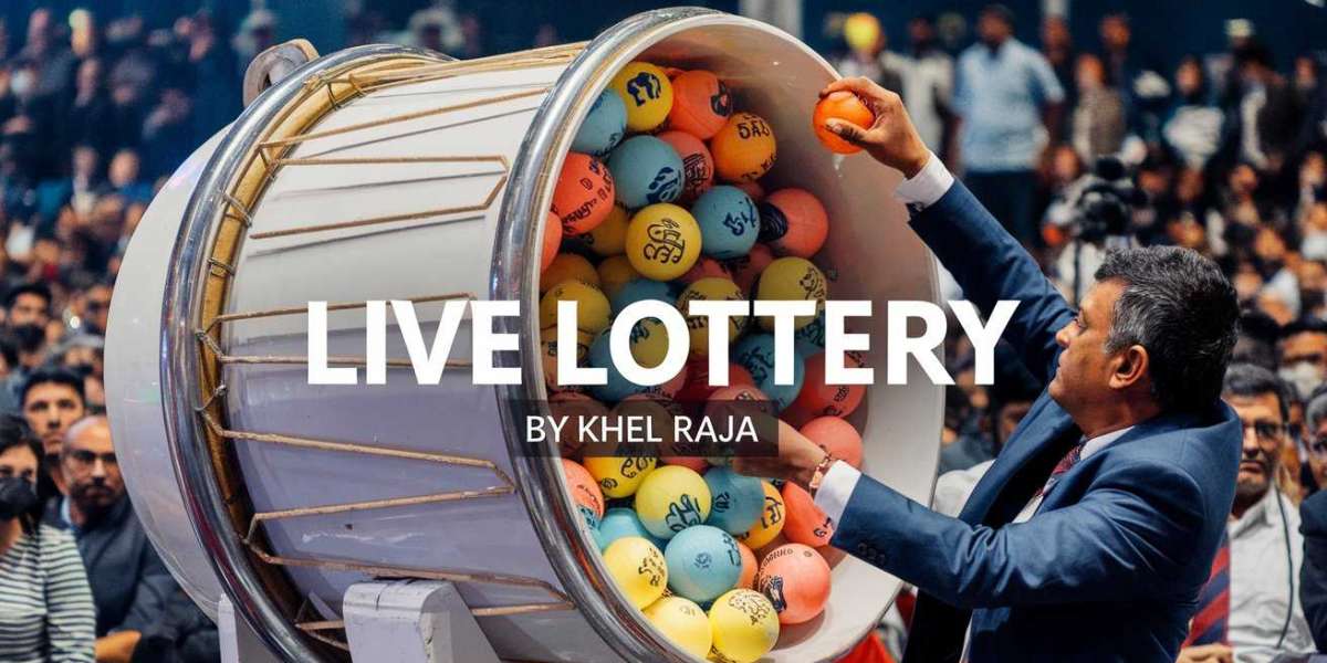 The Broader Effects of Lottery Revenue on Society