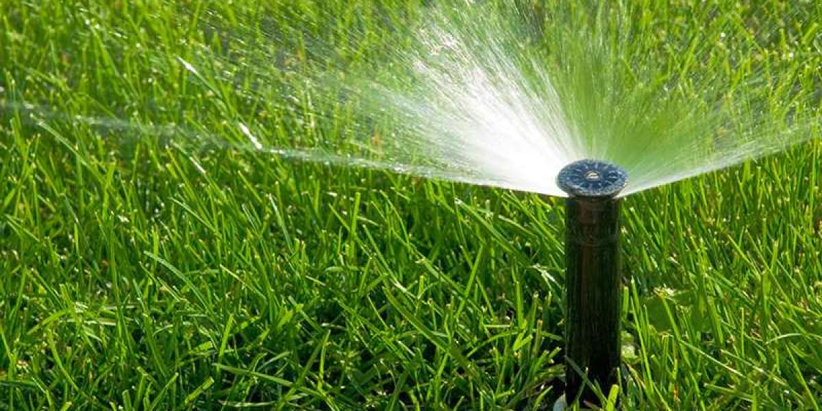 How Can Irrigation Repair Improve Your Lawn’s Health?