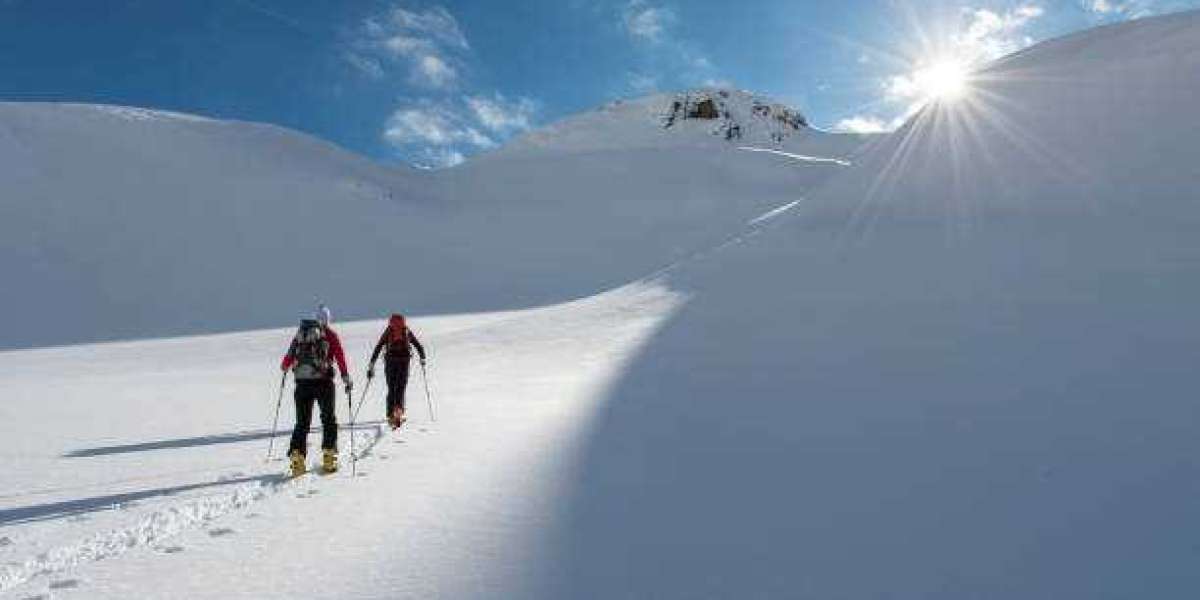 Experience the Ultimate Adventure with Heli Ski Alaska and Valdez Heli Ski Guides