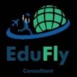 eduflyconsultant