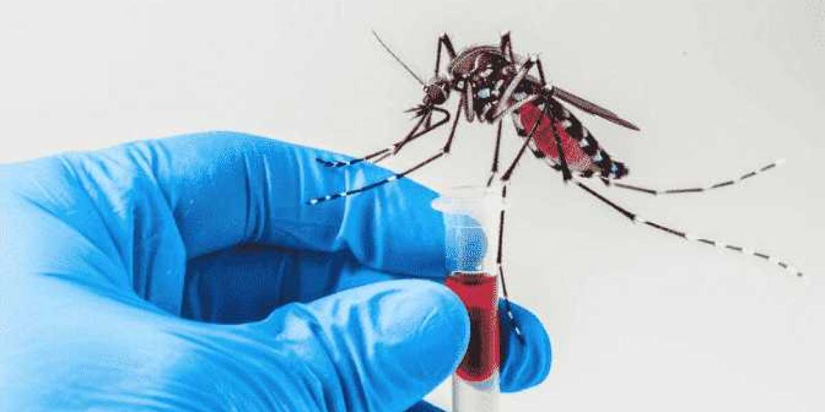 Types of Dengue Tests: NS1, IgM, IgG – What’s the Difference?