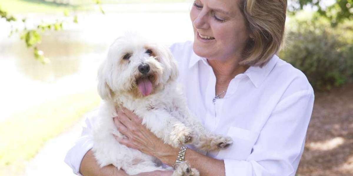 Healing Animals: Nurturing Health and Well-Being