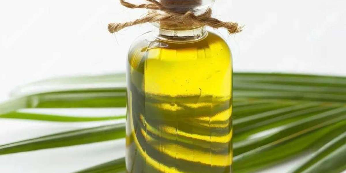 Why Choose Hetaksh Essential Oils as Your Saw Palmetto Oil Bulk Manufacturer?