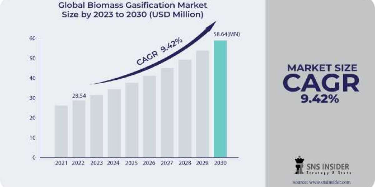 Biomass Gasification Market: Advances in Small-Scale and Distributed Systems