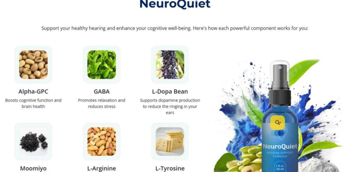 Smart Hearing Solutions: The NeuroQuiet Advantage