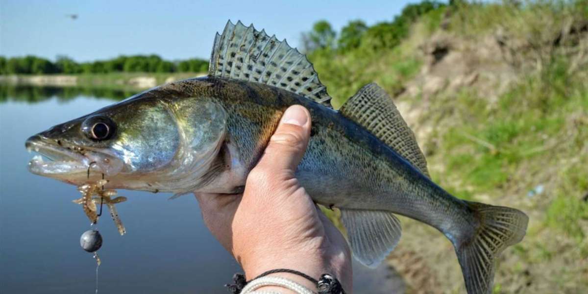 Why Walleye Fishing in Northeast Ohio is Perfect for Groups and Events