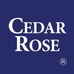 Cedar- Rose profile picture