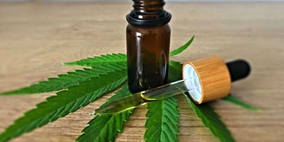 Why is CBD Oil in Miami Becoming a Favorite Choice?