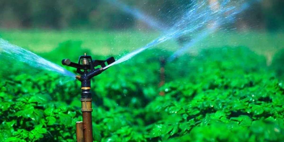 Exploring the Future of Irrigation: Growth Opportunities in a $15.75 Billion Market"