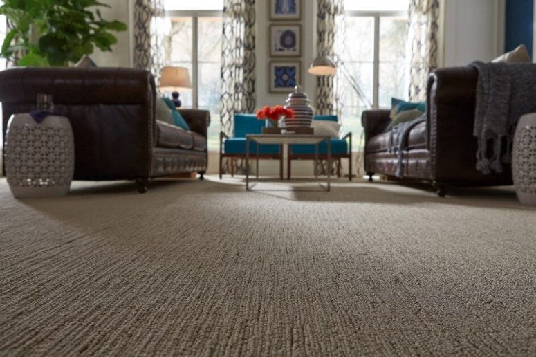 Wall to Wall Carpets The Ultimate Flooring Solution | by RisalaFurnitureLLC | Nov, 2024 | Medium