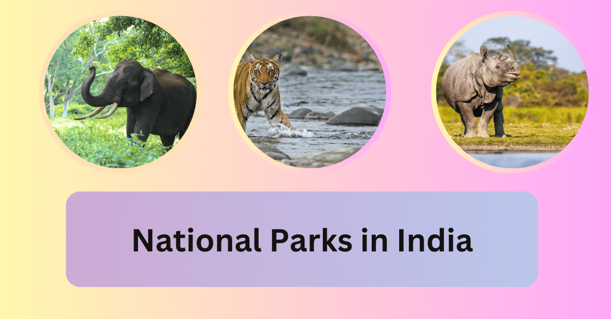 Top 20 National Parks in India You Must Visit