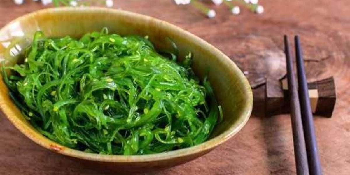 Green Wave: How Seaweed Innovations are Redefining Europe’s Food, Health, and Sustainability Sectors