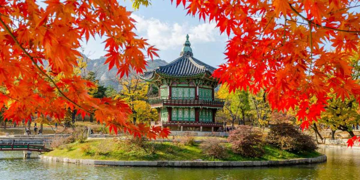 Exploring South Korea: Must-Visit Destinations on Your Asian Tour